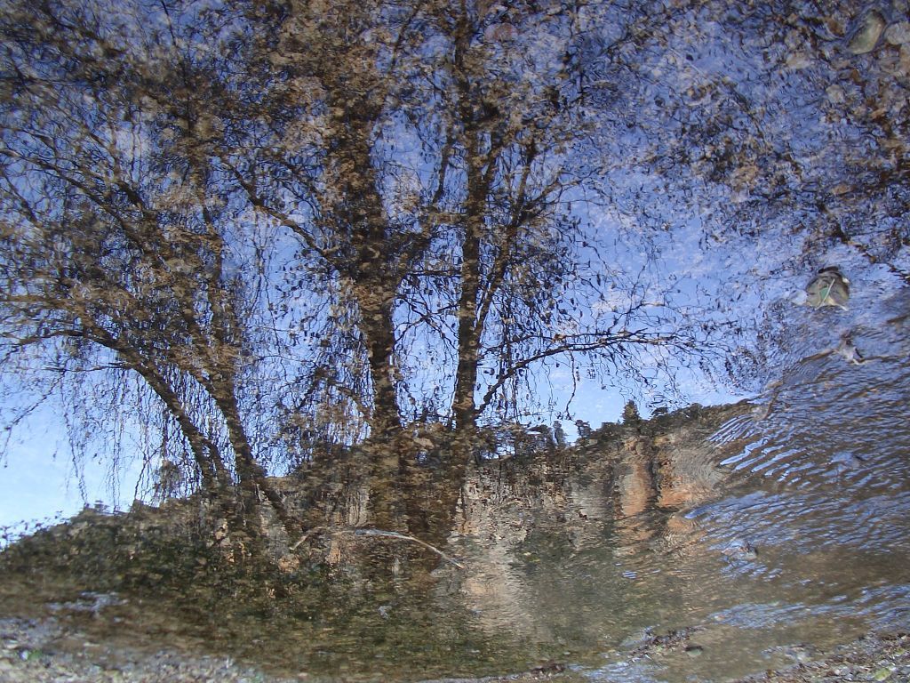 gener_2_07 021.jpg